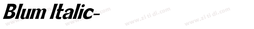 Blum Italic字体转换